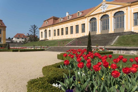 0003 BBL Barockgarten-   Großsedlitz, obere Orangerie19597