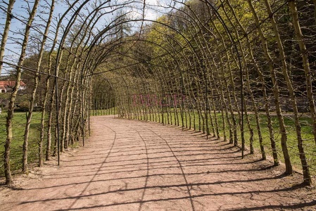 0039 BBL Schloß Weesenstein, Schloßpark Laubengang-203111