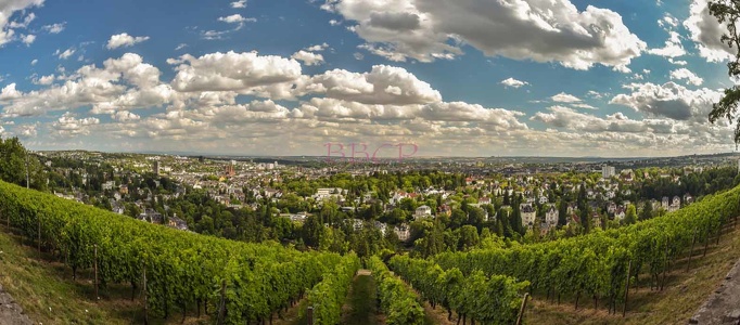 0001 BBL 01 c Panorama Wiesbaden-1