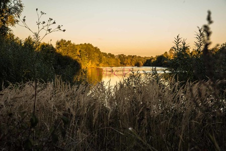 0036 BBL Abendstimmung, Lahnaue-007527