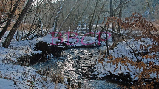 0041 BBL  Nauborn, Winter am Wetzbach32