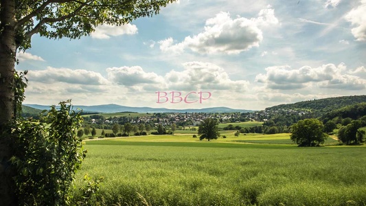 0048 BBL Blick auf Usingen-299539