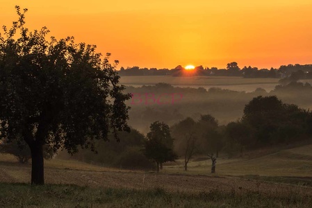 0055 BBL, Schwalbach, Sonnenaufgang im September--79488