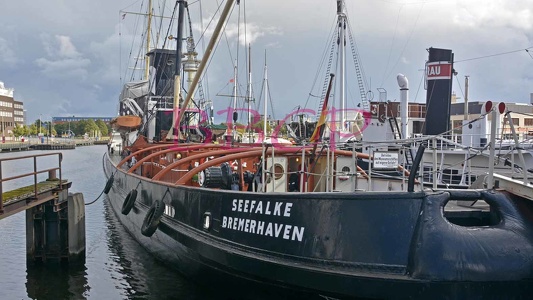 0010 BBL Bremerhaven, altes Walfangschiff Seefalke-71383