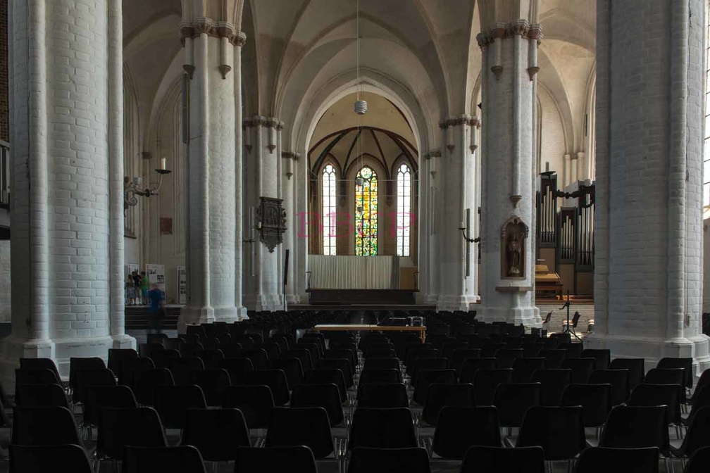 0002 BBL, Rostock, Kirche St. Nikolai, Innenansicht der dreischiffigen Halle, --728011.jpg