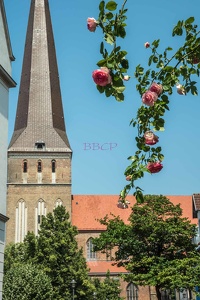0010 BBL, Rostock, Petrikirche, die älteste der vier Stadtkirchen der Hansestadt Rostock --729719