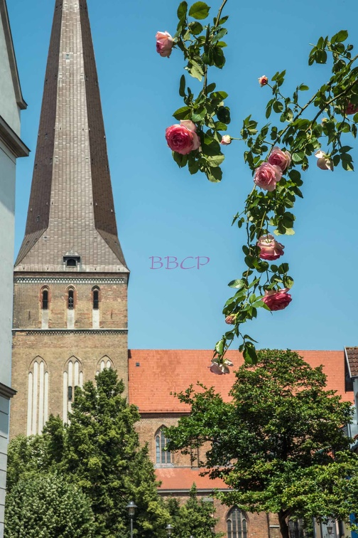 0010 BBL, Rostock, Petrikirche, die älteste der vier Stadtkirchen der Hansestadt Rostock --729719.jpg