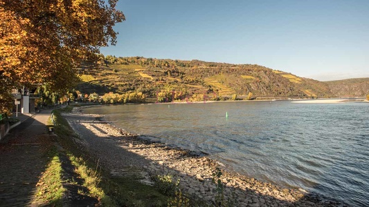 0037 Rhein bei Oberwesel-048912