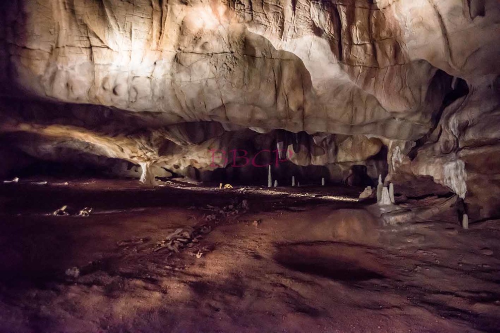 0005 BBL, Vallon Pontd´Arc,  Nachbau Chauvet-Höhle mit 20.000 Jahre alten Darstellungen von Tieren-267512.jpg