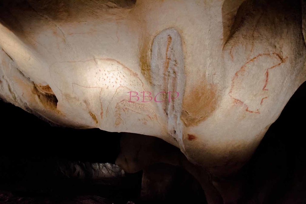 0006 BBL, Vallon Pontd´Arc,  Nachbau Chauvet-Höhle mit 20.000 Jahre alten Darstellungen von Tieren-268313.jpg
