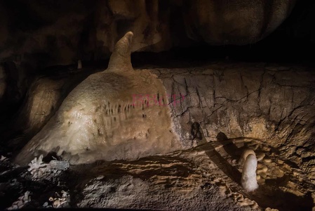 0009 BBL, Vallon Pontd´Arc,  Nachbau Chauvet-Höhle mit 20.000 Jahre alten Darstellungen von Tieren-268916