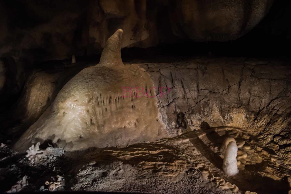 0009 BBL, Vallon Pontd´Arc,  Nachbau Chauvet-Höhle mit 20.000 Jahre alten Darstellungen von Tieren-268916.jpg