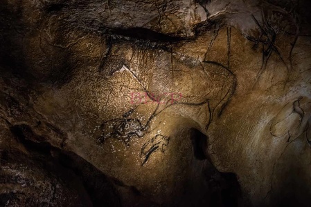 0015 BBL, Vallon Pontd´Arc,  Nachbau Chauvet-Höhle mit 20.000 Jahre alten Darstellungen von Tieren-270322