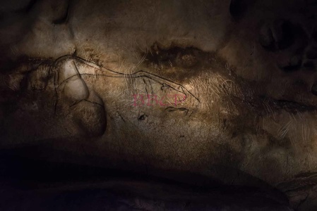 0016 BBL, Vallon Pontd´Arc,  Nachbau Chauvet-Höhle mit 20.000 Jahre alten Darstellungen von Tieren-270523