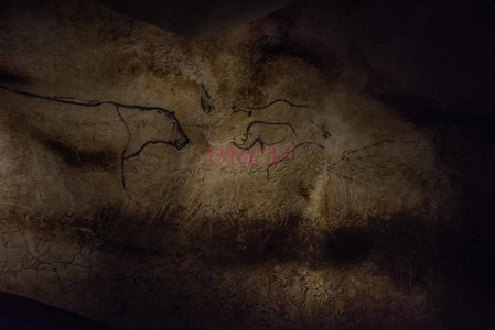 0021 BBL, Vallon Pontd´Arc,  Nachbau Chauvet-Höhle mit 20.000 Jahre alten Darstellungen von Tieren-271328